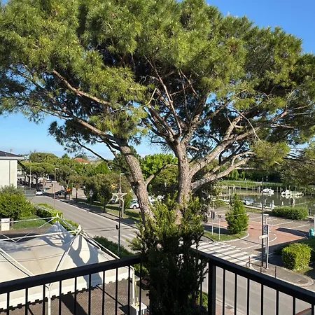 Camoma -